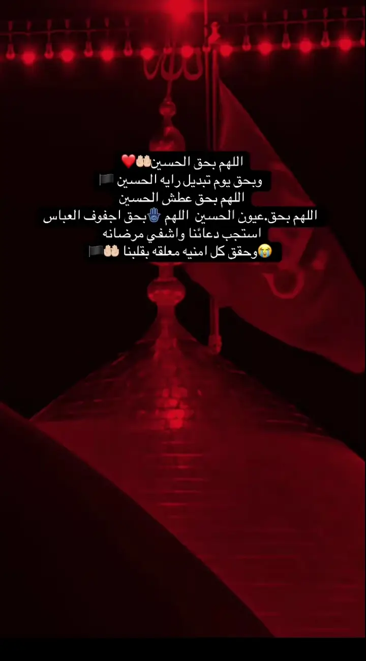 #عاشوراء_الحسين_محرم_الحرام #شعب_الصيني_ماله_حل😂😂 #اللهم_عجل_لوليك_الفرج 