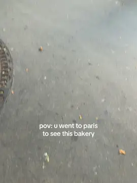 THE DESSERTS WERE SO GOOD BTW #miraculous #paris #ladybug 