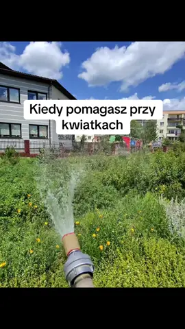 Kiedy pomagasz przy kwiatkach #fyp #dc 