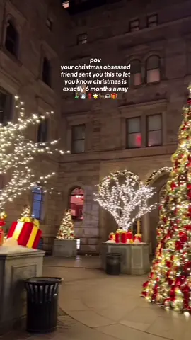 #christmas #christmastok #christmastiktok #christmascountdown #christmasaesthetic #christmastree #merrychristmas #winter #snow #xmas #cozychristmas #warmchristmas #viral #fyp 