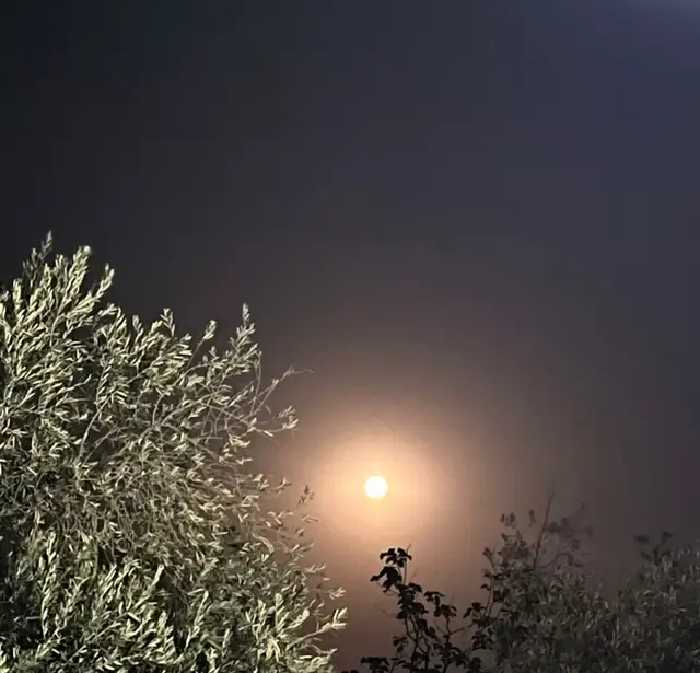 #خالدعبدالرحمن_مخاوي_الليل #خالدعبدالرحمن_عشق_لا_ينتهي #خالديات_ملك_الفن #خالديات_ابونايف_ملك_الفن_ملك_الاحساس #اكتب_حروف_الحب_حبسن_برجلي #اغليك 