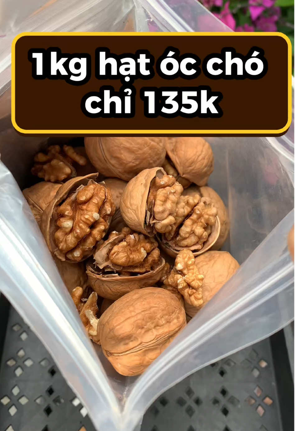 1kg quả óc chó nguyên vỏ không đường #hạtócchó #quảócchó #luongvethang6 #2425luongve #salevuichinhhang 
