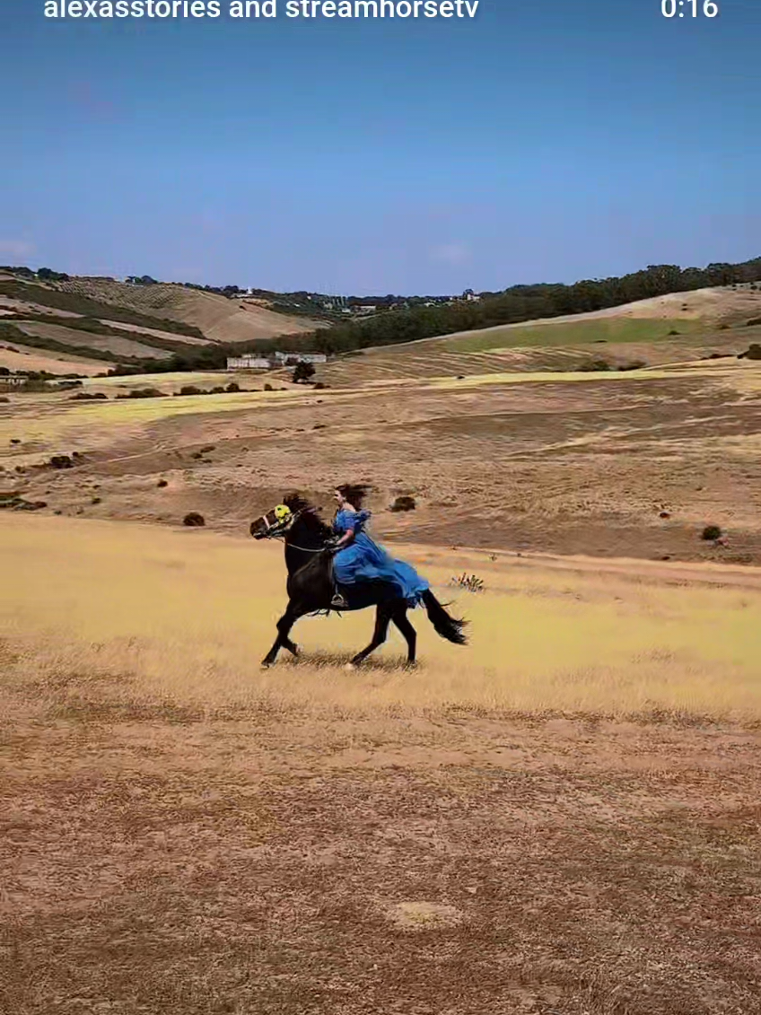 Send this to someone who needs a reset. 😌🐎🏞 🥰🎥 @alexasstories  #horse #gallop #equestrian #morocco #pferdeliebe #arabianhorse #naturelovers #travel
