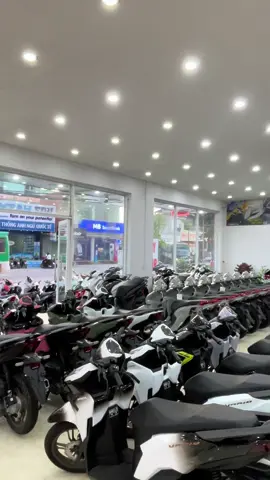 Anh Chị Em Quân Tâm Dòng Xe Gì ib ạ #vision #vario #wave #honda #xuhuongtiktok #xuhuong 