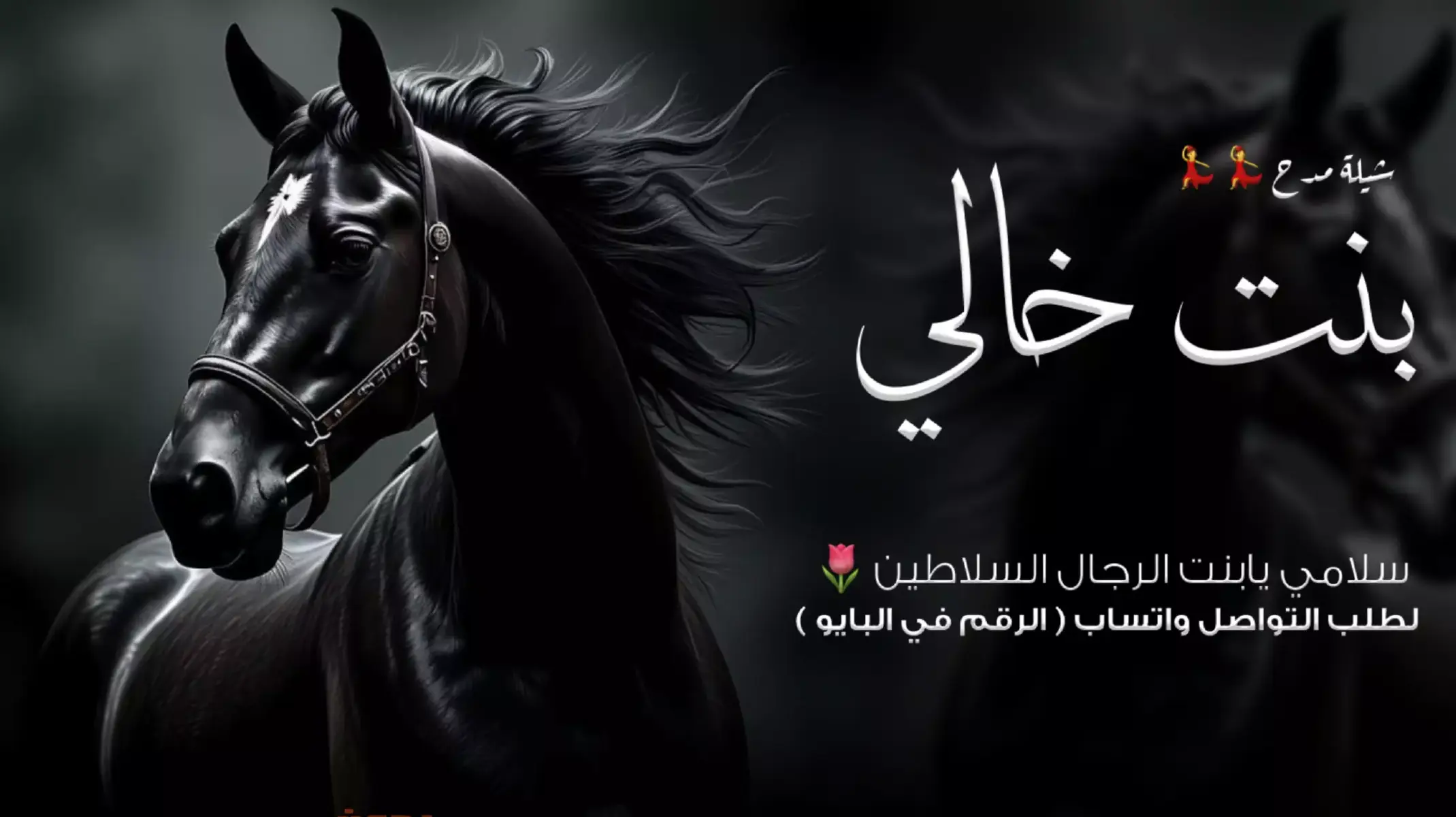 #شيلة_بنت_خالي #شيلة_ترحيب_غالي  #ارحبو_ثم_ارحبو #شيلات_تراحيب_جديد_طرب  #شيلات_استقبال #الضيوف_شيلات 