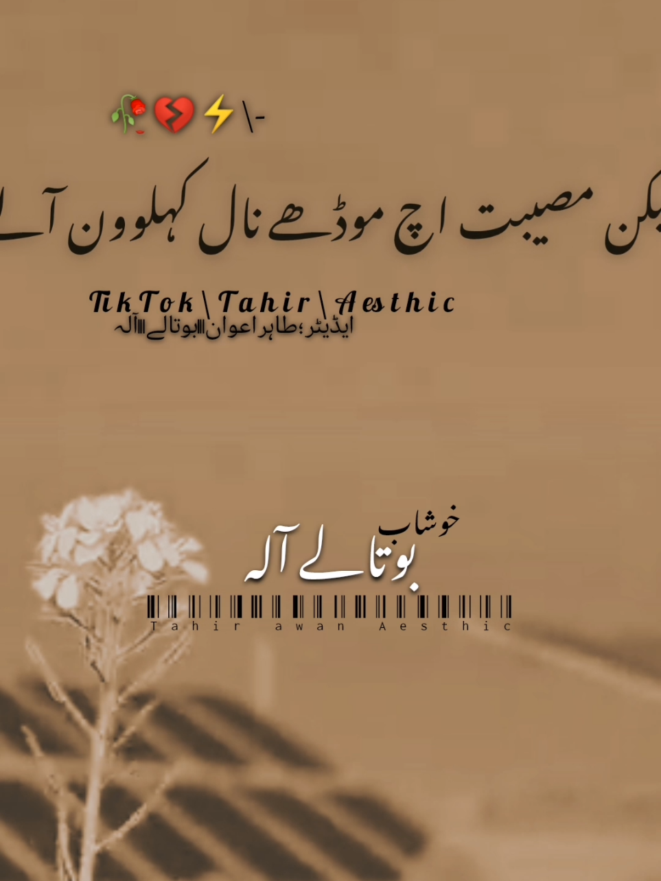 #foryou #fyp #urdushayari #punjabipoetry #kawishtamimi #dailystatus52🥀 #ch #viral #500k #standwithkashmir 