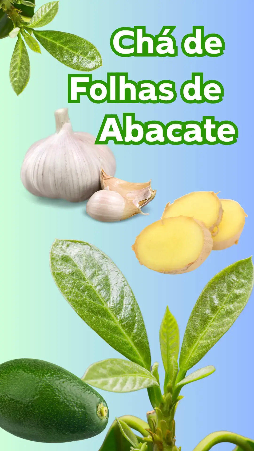 Os benefícios do chá de folhas de abacate para saúde! #saudavel #saude #cha #abacate