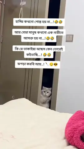 #🤣🤣🤣🤣 # ফানি বিডিও #@❤️꧁҉✺i⃟i⃟❥͜͜͡͡➳তানজিলা ইসলাম #@🦋🌺🦋মায়াবী রাজকন্যা 🦋🌺🦋 #@❥»̶̶͓͓̽̽⑅⃝💜মিথিলা ইসলাম  ⑅⃝💜 #@ϻɪꜱꜱ♡ᴀʏᴇsʜᴀ✓ #