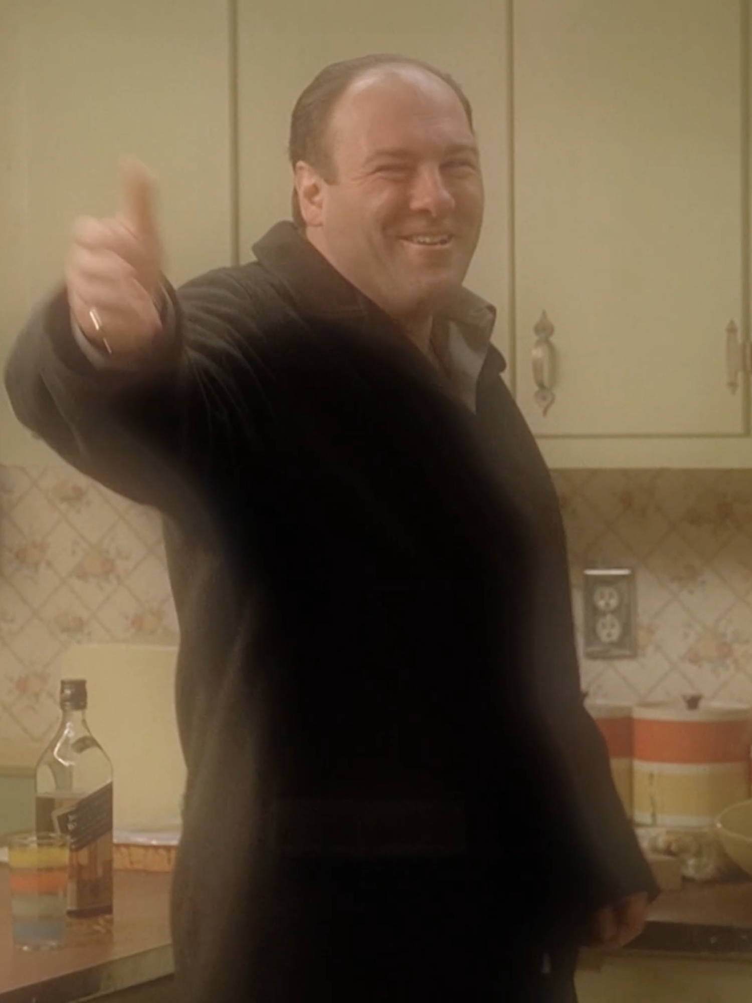 what is Sopranos even about type edit. After all the memes I'm not even sure anymore. #thesopranos #tonysoprano #edit #thesopranosedit #gabagool #fiberopticcable #christophermoltisanti #pauliewalnuts #20years