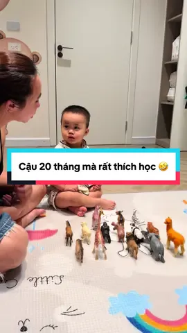 Cậu 20 tháng mà rất thích học 🤣 #xuhuongtiktok #xuhuong 