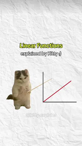 Linear Functions explained by Kitty #cats #catanimation #math #kittycat #kittyexplains 