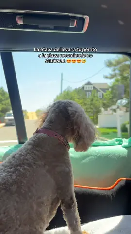 🥹🥹🥹😍😍😍