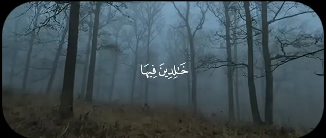 #مشاري_العفاسي #سورة_البقرة #قران #quran 