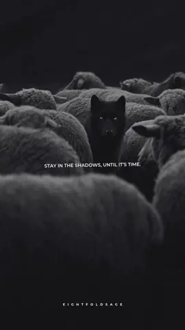 A wolf in disguise remains patient, for the right moment always comes. #motivation #discipline #fyp #motivationalquotes #stoic #wisdom #lifequotes #mindset #warrior #stoicism #success 