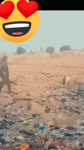 #vralvideo 