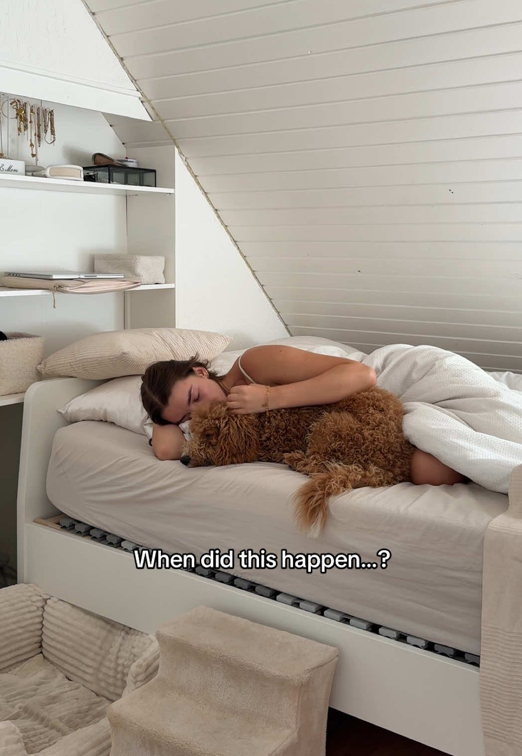Sorry maar hoe kan dit ineens…?!🥺🤎🐶 #dogmom #firstdog #maltipoopuppy #fyp #timeflies #dogmomlife 