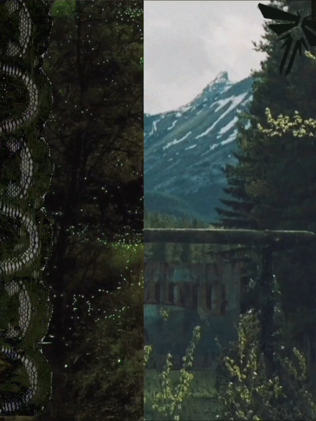 The Last of us, I always forget that they finished the show now I need to wait.😪 #tlou #thelastofus #aesthetic #forestvibe #nature #series #vibe #moots #relatable #fyp #joelmiller #ellietlou #jesse #tommymiller #fypシ #tlouedit #edit #wyoming #mountains #fypシ゚viral #fandom 