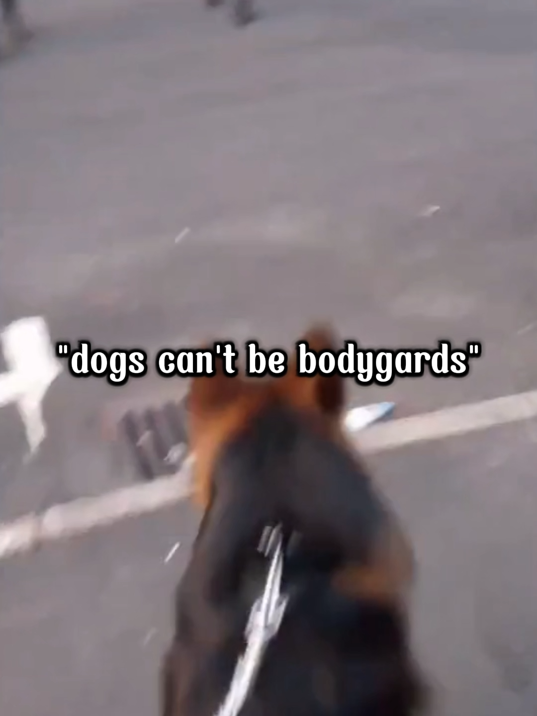 Part 10 of Dogs Are The Best Body Guards 🐶⚔️ Dogs Are the Best Bodyguards 🐶⚔️ | Loyal Animal Protectors in Action #dogedits #skulledit #viral #fyp #dogsoftiktok #dogs #scarydogs #dogprotection