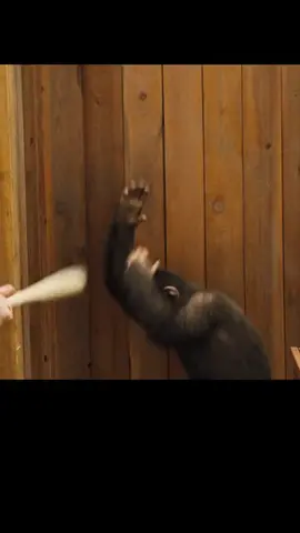 Best Movie 2025 #movie #actionmovie #film #abc #fyp #clip #bestmovies