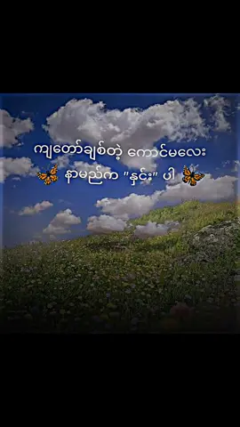 ကျတော်ချစ်တဲ့ကောင်မလေး နာမည်က နှင်းပါ💝#alightmotion_edit #fypシ゚ #fypシ゚ #tiktok #fyppppppppppppppppppppppp 