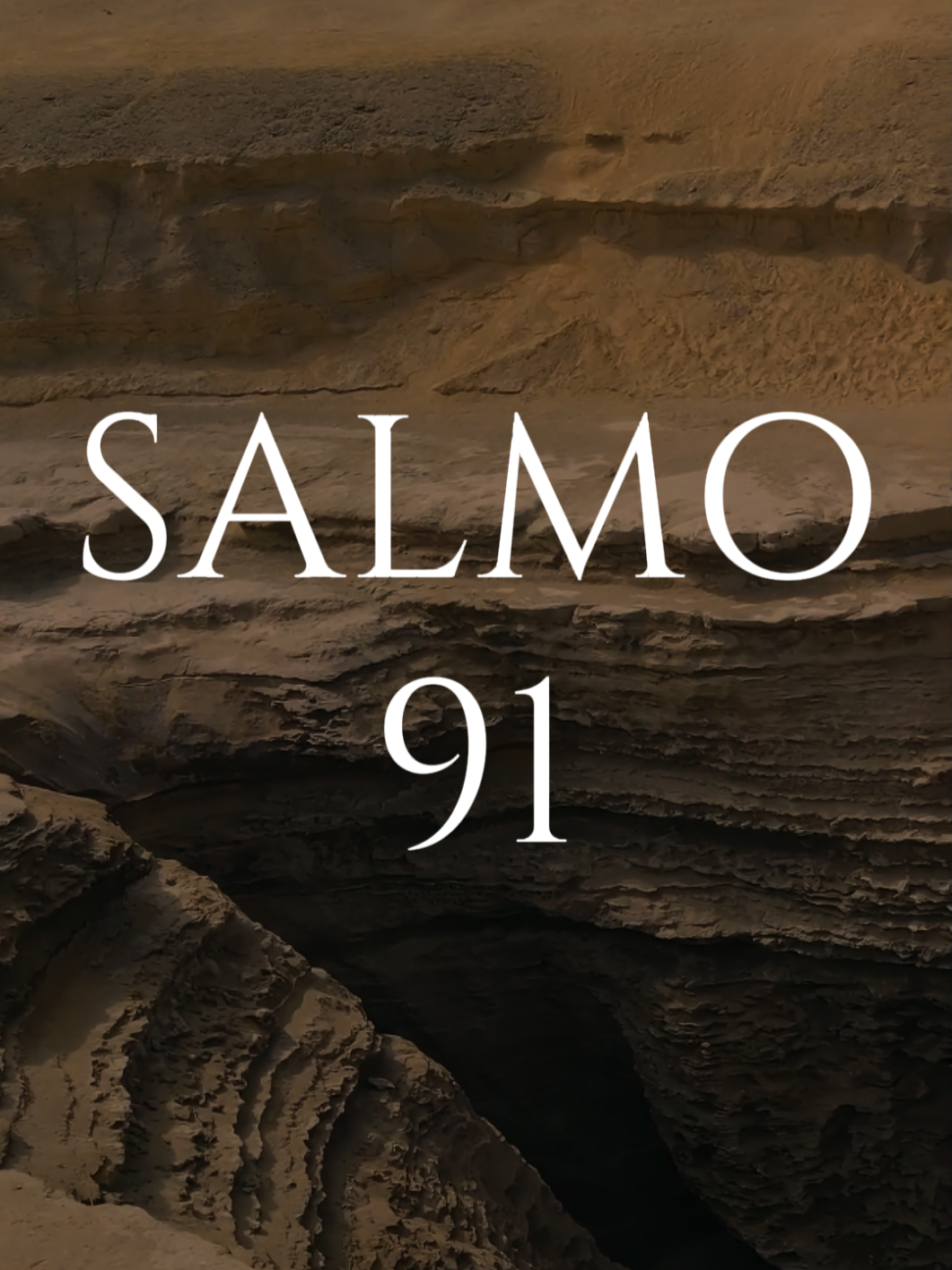 #creatorsearchinsights 