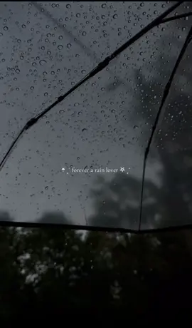 follow for more aesthetic vids🌧️💧#aesthetic #fyp #foryoupage #foru #recommendations #autumnvibes #autumnaesthetic #rain #rainaesthetic #rainlover 
