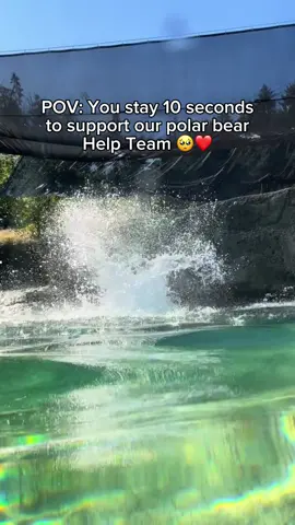 Spread the word 🙏💙 #polar #bear #globalwarming #polarbear 