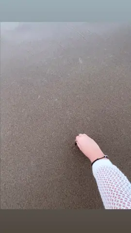 òm #flypシ 