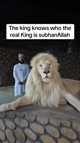 SubhanAllah 😭😭 #king #muslim #muslimtok #islam 