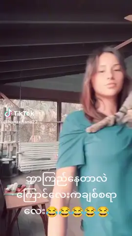 HD အသစ်ထွက်ထားတယ် #bioမှာtgလင့်ချထားပေးပါတယ် #trendingtoday #tiktokmyanmar #viral #အိုးပေါင်းချုပ်