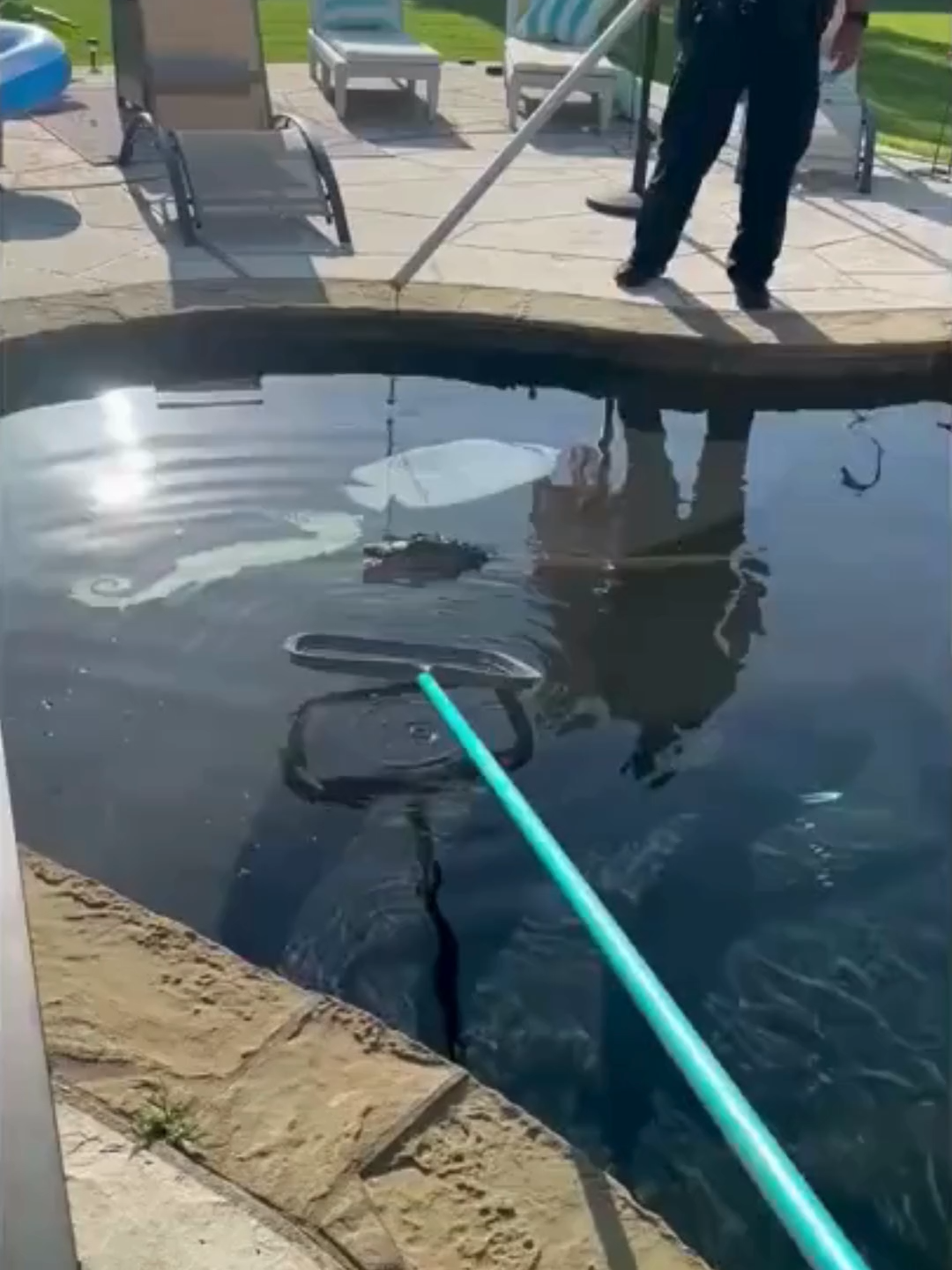 🐊 POOL PARTY CRASHER: An East Texas family got quite the surprise when an alligator decided their backyard pool was the perfect spot for a dip. #alligator #alligators #texas #family #poolside #wrangler #video