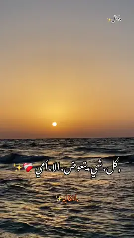 الغاليه❤️🤍❤️🤍❤️#ليبيا_طرابلس_مصر_تونس_المغرب_الخليج #تونس_المغرب_الجزائر #مشرق_ليبيا🇱🇾❤️ 