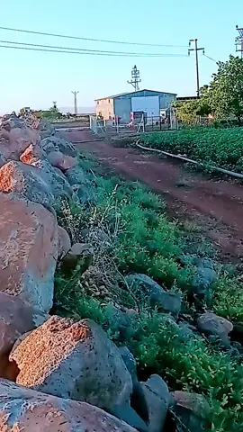 kimsede arama yalnızlıkta huzur  bulunur bence 