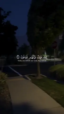 ياسر الدوسري - انك ميت وانهم ميتون || حساب وقناة القران بالبايو #قران #quran 