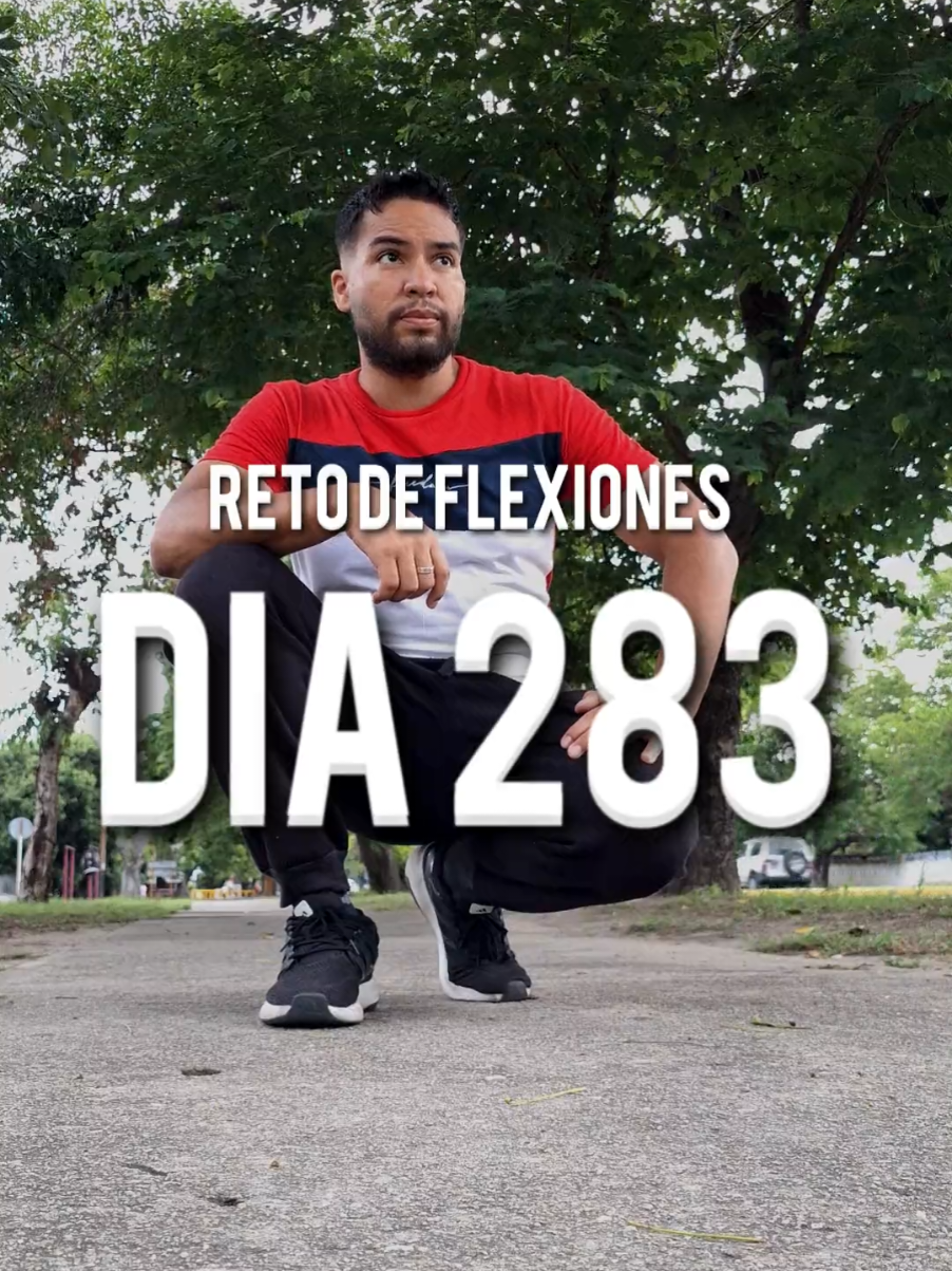 Dia 283 del reto denlas flexiones #inspiration #retoflexiones 