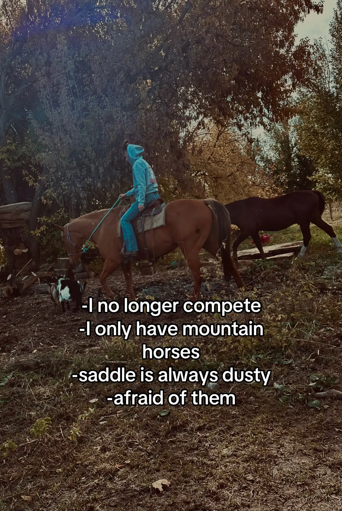#fyp #horse #cowboy #idaho 
