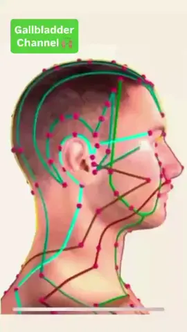 Bạn hiểu như thế nào về đường đi của kinh lạc!#dongyduongsinh #suckhoe #biquyetsongkhoe #dongychuabenh 