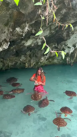 Bucket list 🐢🌴💛🥹🫶🏼 Swimming with Turtles in a sanctuary called salaam cave located in Zanzibar📍 #zanzibar #tanzania #salaamcave #turtles #traveltiktok #travel #mermaidhair #bucketlist #fyp 