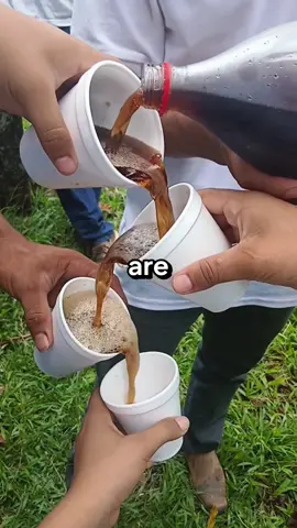 Second Date Update part2 #trending #dateupdate #brookeandjubal #phonecase #storytime #fypシ 