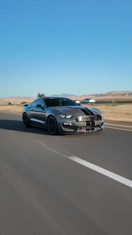 Is the voodoo the best sounding V8 👀 #cars #s550mustang #fordmustang #osmopocket3 #mustangsofinstagram #550only #americanmuscle #mustangclub #fordperformance #mustangweek #mustanggt #mustangnation #worldwidestangs #fordmustang #carsofinstagram #mustangsdaily #stangnation #mustanggt #photography #americanmuscle 