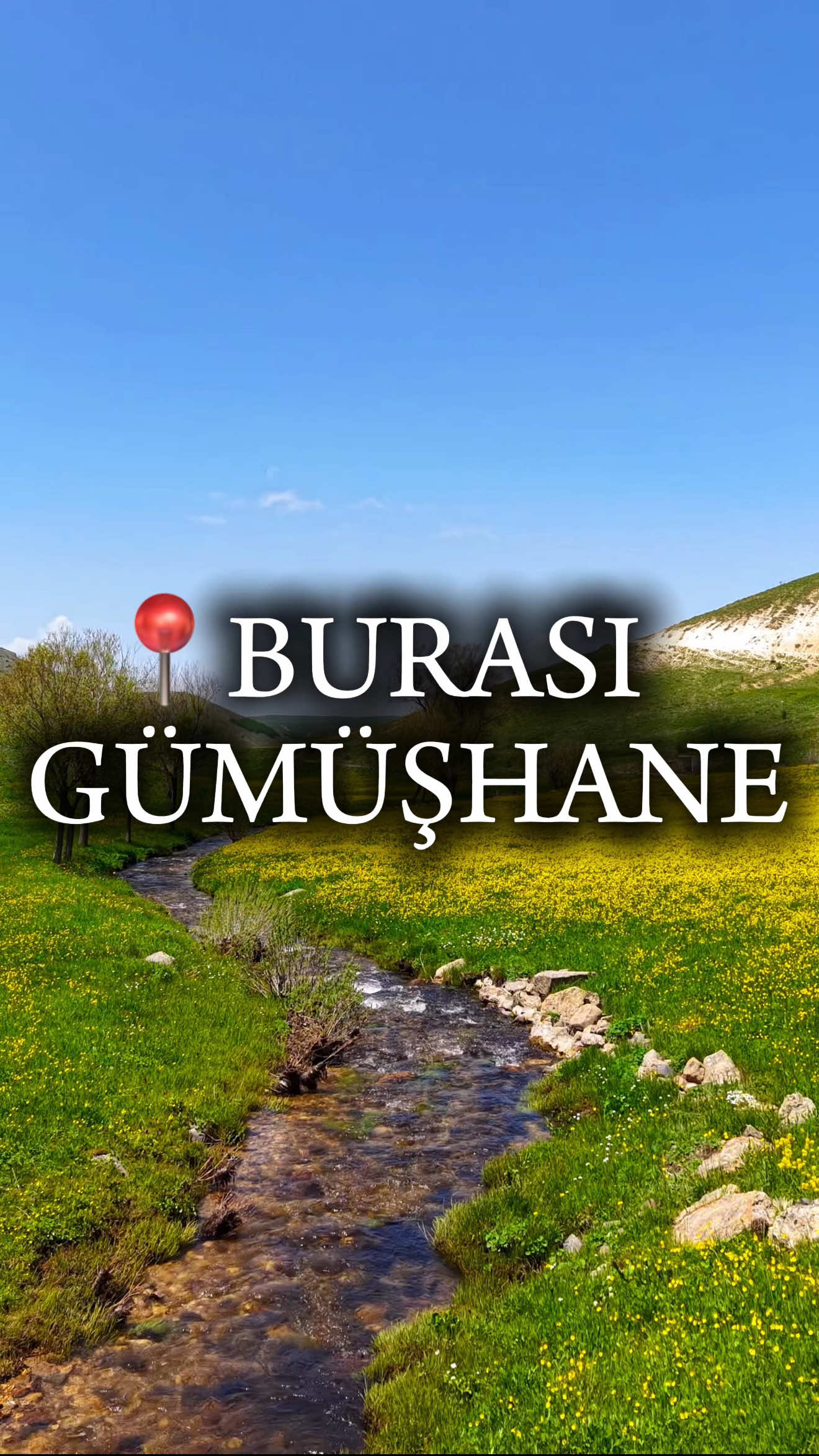 📍SARI ÇİÇEK KÖYÜ 💚💛 #karadenizli #gümüşhane #creatorsearchinsights #turkey 