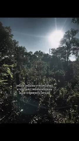 บางครั้งก็แค่อยากพัก#เทรนด์วันนี้ #เธรดโครตมั่ว #แค่เธรด #เชียงราย #แค่เธรดเฉยๆๆๆๆๆๆห้ามดาม่าาาาา 