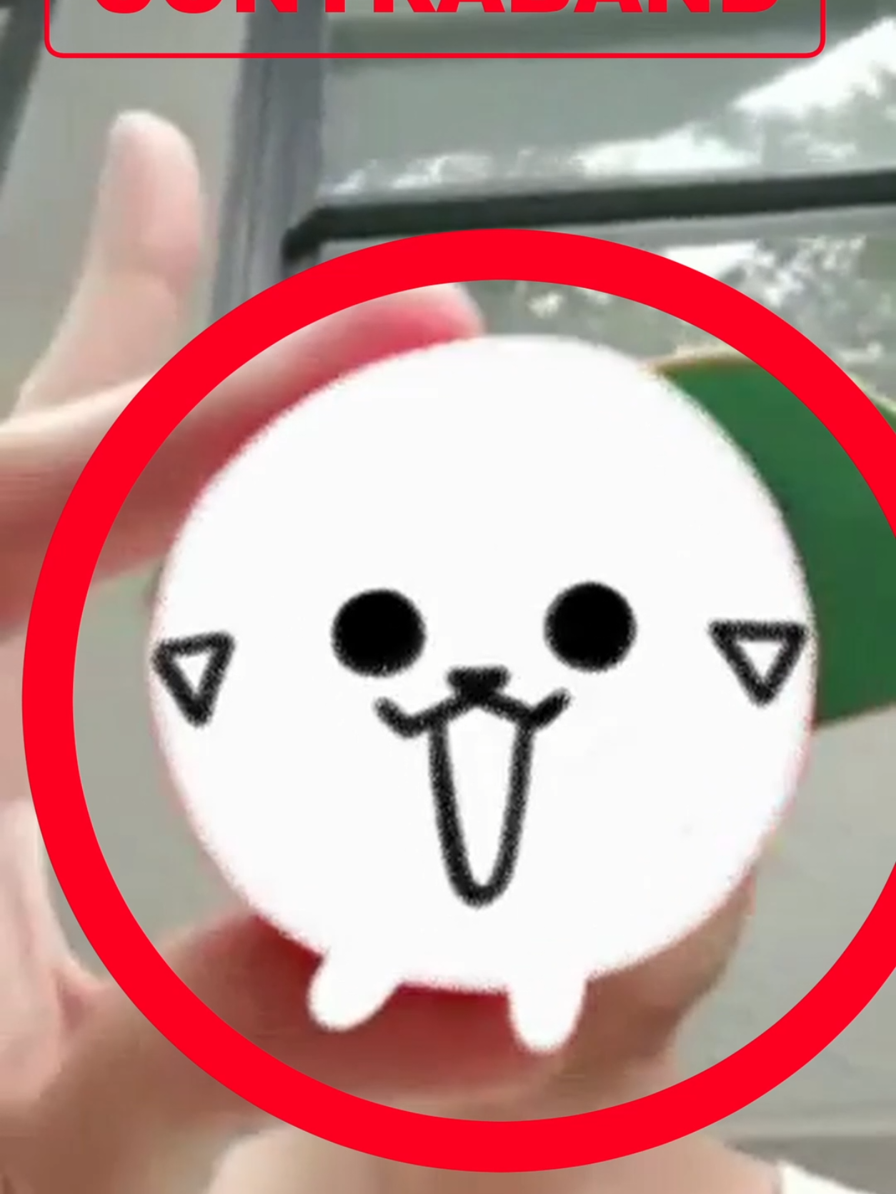 woah there, that's contraband!🚫 #pipapeep #fypシ 