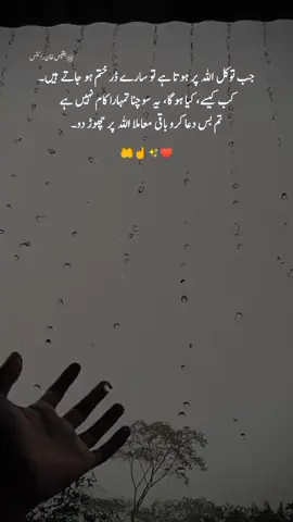جب توکل اللہ  پر ہو تو سارے ڈر ختم ہو جاتے ہیں #islamicstatus #tiktok #motivationalquotes #allah❤️ #urduquotes #viral #trending #foryoupageofficiall #deeplines #allahquotesaboutlife 