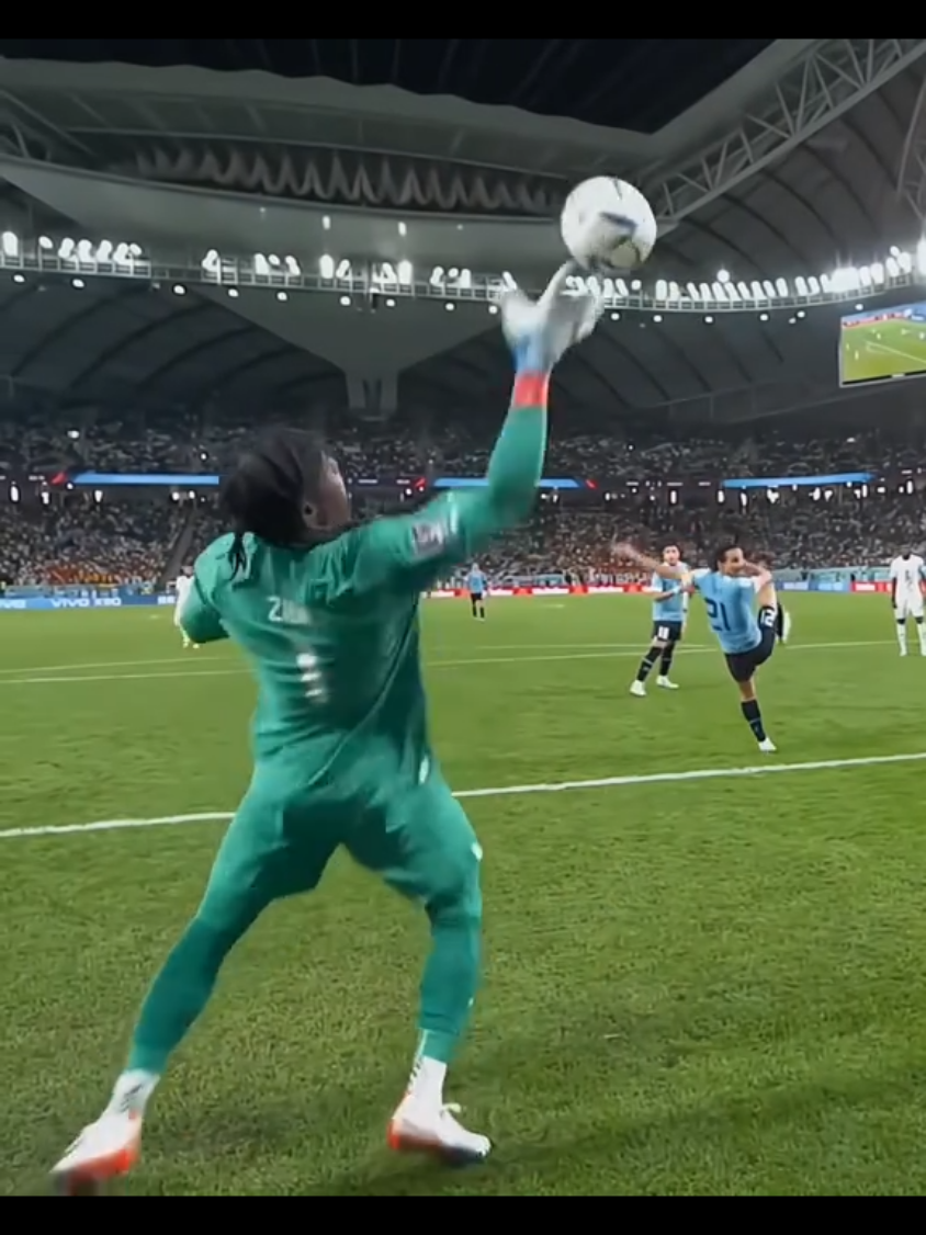 Goalkeepers Saves 