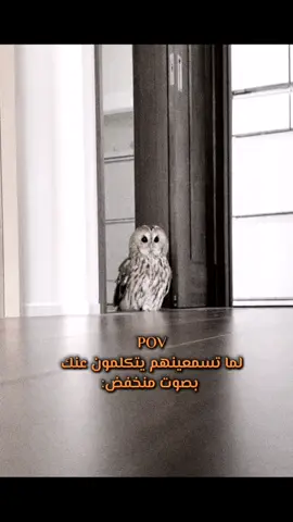 🤣🤣🤣🤣 #الشعب_الصيني_ماله_حل😂😂 #مالي_خلق_احط_هاشتاقات #رياكشن #رياكشنات_مضحكه #رياكشنات #ضحك #foryou #اكسبلورexplore #pov 