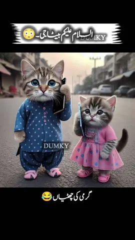 please Tiktok team don't under review my videos please 🙏@ᒪᗩᎥᗷᗩᗯᖇᎥ丅ᗴᔕ🥰 @TiktokPakistanOfficial @zofiaa0314 #foryoupage #fyp #viralvideo #trending 