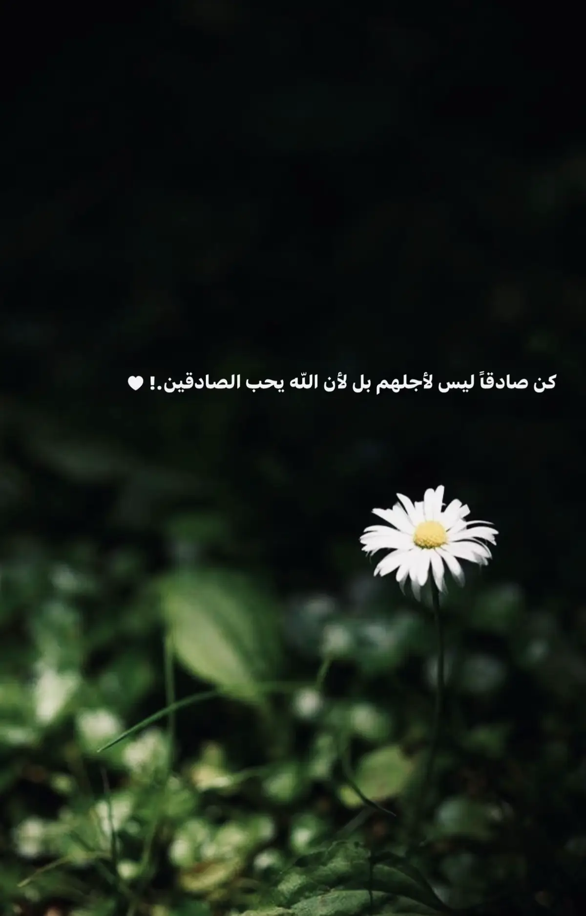 #اكسبلور 