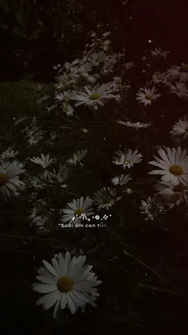 Không nghe hơi phí🎶đeo tai nghe để trải nghiệm tốt hơn nhé#nhacchillphet#nhachaymoingay#xuhuongtiktok#nhacbuntamtrang🥀#nhaclofi#nhacnhoem#xh#xh  @vinhmusic🎶  @vinhmusic🎶  @vinhmusic🎶 