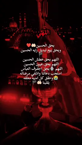 #اللهم_بحق_الحسن_والحسين_اقضي_____حوائجنا #هشتاك_تيك_توك #هاشتاق 